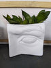 5 Occasions Where a Succulent Gift is Absolutely Perfect - The Succulent Gift Co