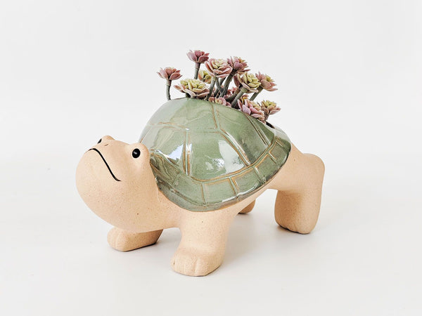 Planters and Pots