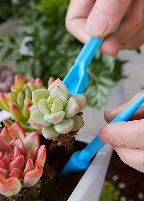 Tools and Accessories - The Succulent Gift Co