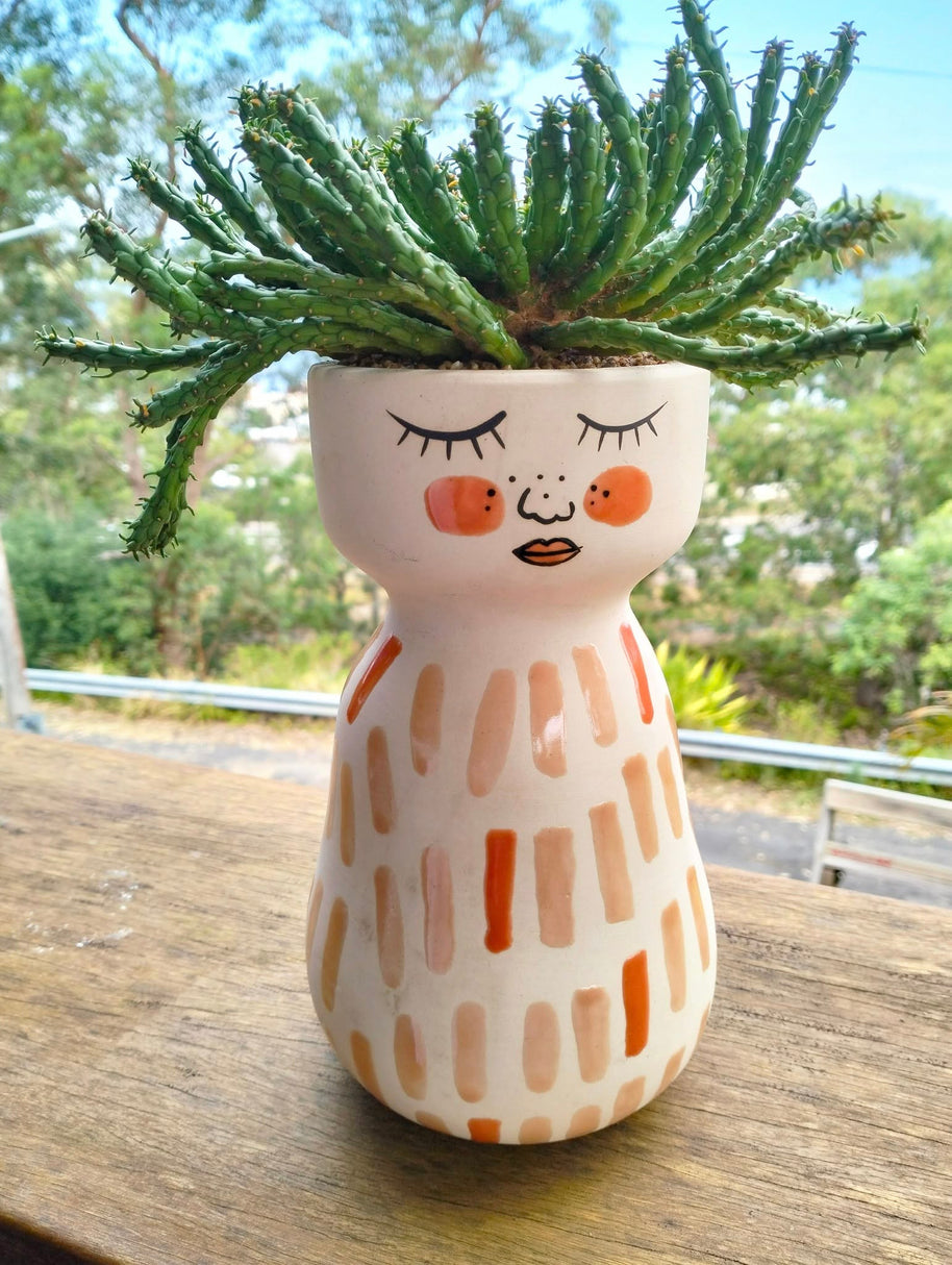 Pre-made Unique Succulent Arrangements | Pickup & Local Delivery Only