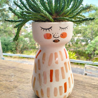 Pre-made Unique Succulent Arrangements | Pickup & Local Delivery Only