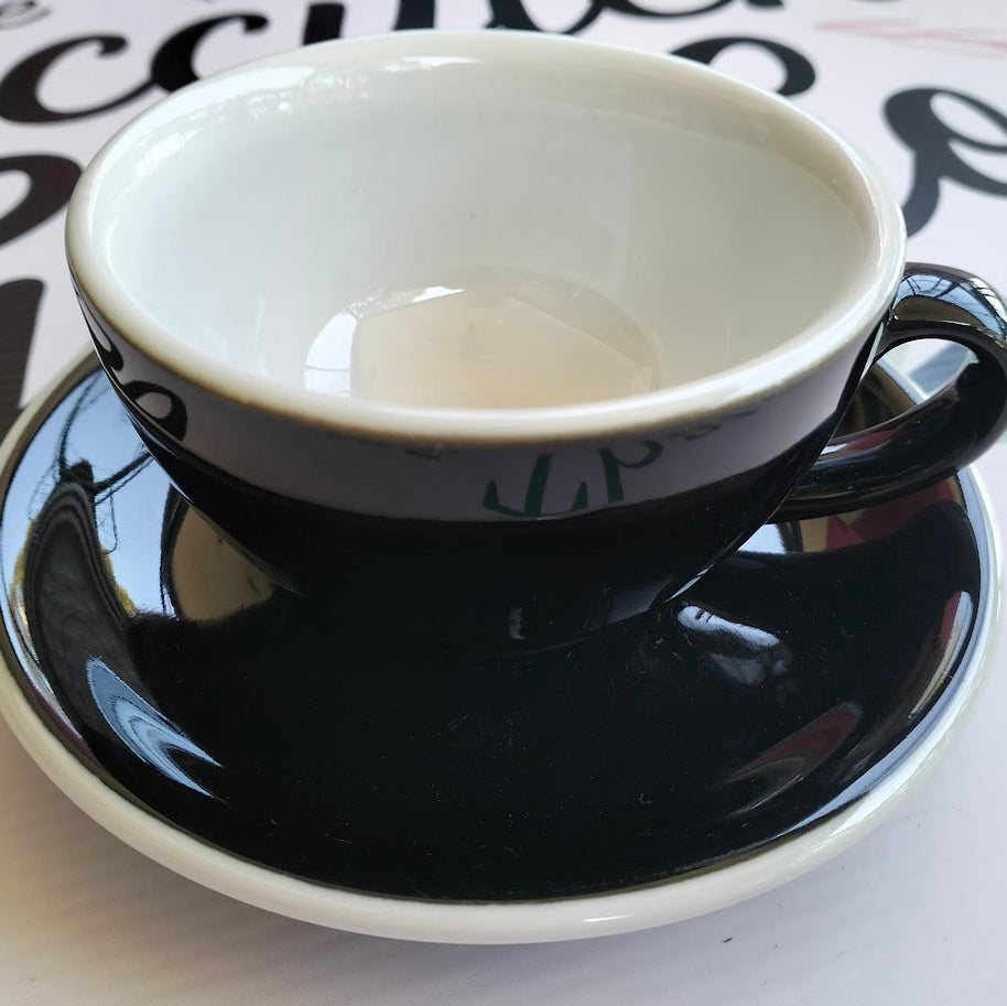 DIY Succulent Arrangement Kits