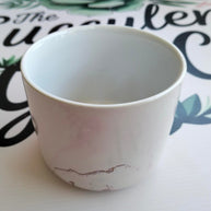 DIY Succulent Arrangement Kits