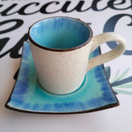 DIY Succulent Arrangement Kits