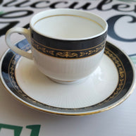 DIY Succulent Arrangement Kits