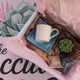 DIY Succulent Arrangement Kits