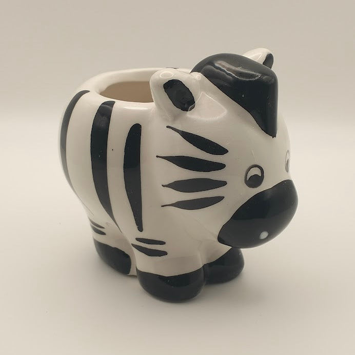 DIY Succulent Arrangement Kits