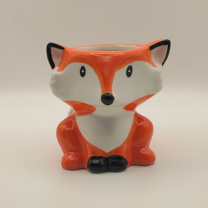 DIY Succulent Arrangement Kits