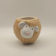 DIY Succulent Arrangement Kits