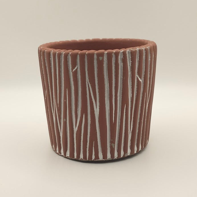 DIY Succulent Arrangement Kits