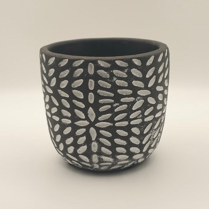 DIY Succulent Arrangement Kits