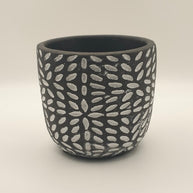 DIY Succulent Arrangement Kits