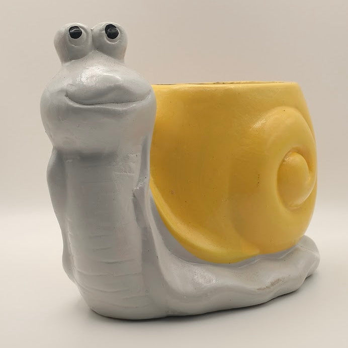 DIY Succulent Arrangement Kits