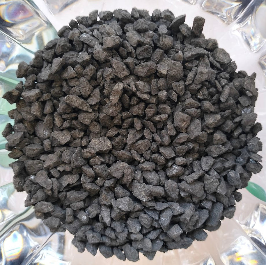 DIY Succulent Arrangement Kits