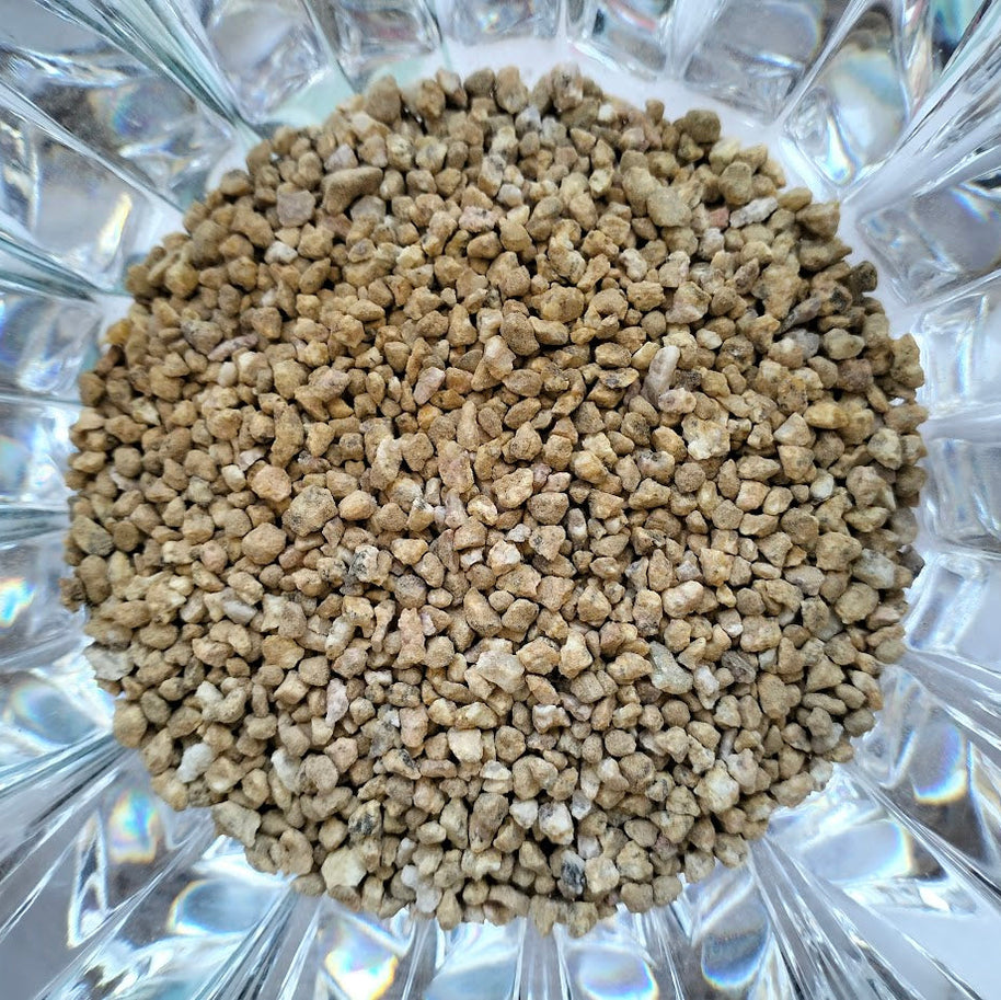 DIY Succulent Arrangement Kits