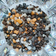 DIY Succulent Arrangement Kits