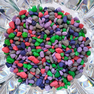 DIY Succulent Arrangement Kits