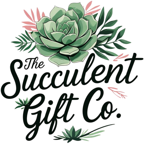 Echeveria elegans | Mexican Snowball Succulent Plant