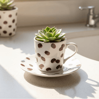 Coffee Bean Tea Cup Planter - Planter - ceramic - planter - succulent planter