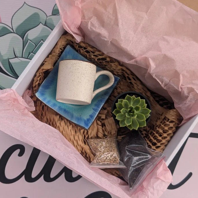 DIY Succulent Kit - DIY Kit - diy - kit - kit - builder - made - to - order