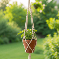 Elsie | Extra Large Macrame Plant Holder - Macrame Plant Holder - macrame - plant hanger - 