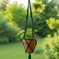 Elsie | Extra Large Macrame Plant Holder - Macrame Plant Holder - macrame - plant hanger - 