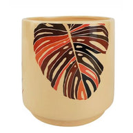 Foliage Planter - Ceramic - Foliage - Monstera - planter