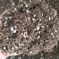 Premium Succulent Potting Mix - 