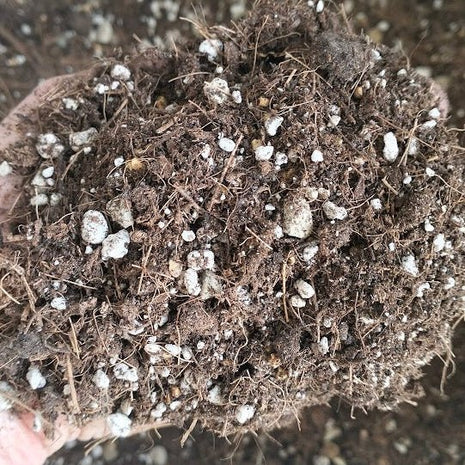 Premium Succulent Potting Mix - 