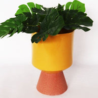 Tall Planter Mustard Terracotta - Ceramic - mustard - orange - planter