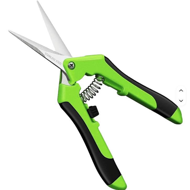 Thin Stainless Steel Pruner - Green - 